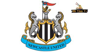 Giới thiệu về Câu lạc bộ Newcastle