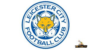 Tổng quan về câu lạc bộ Leicester